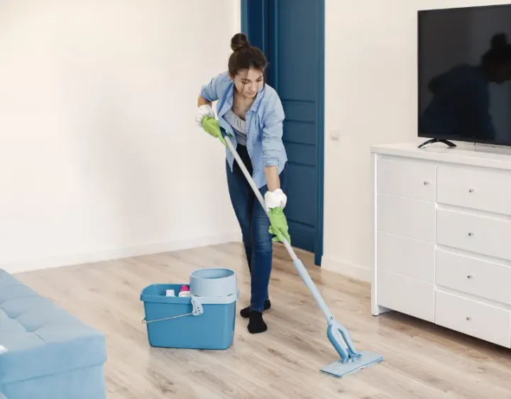 Femme de ménage La Beaume